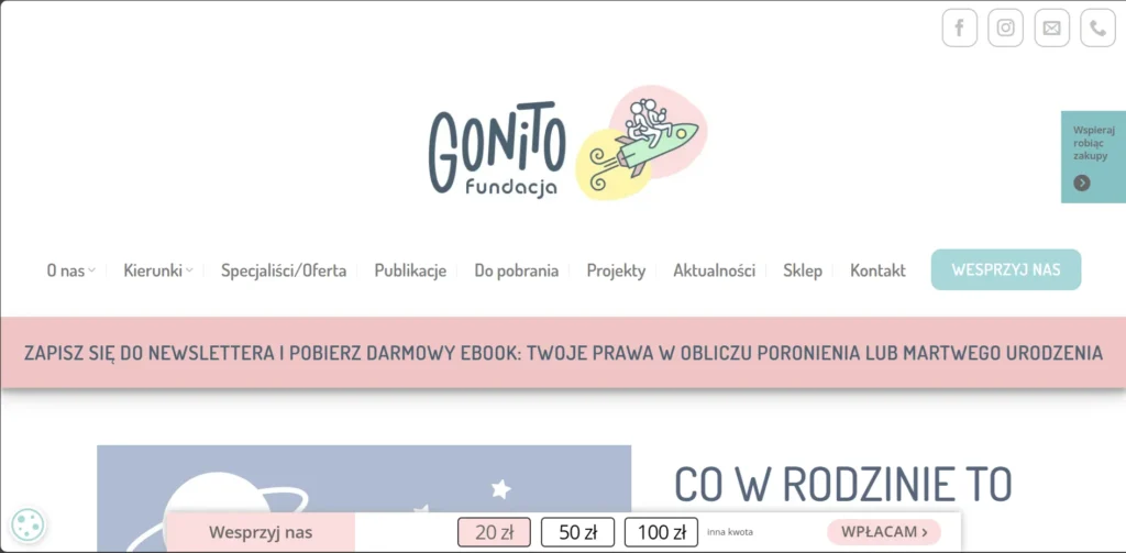 Nowoczesna strona internetowa - Fundacja Gonito